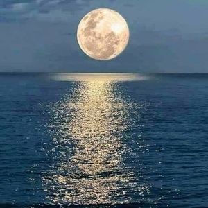 Meet your Posher, Tonya